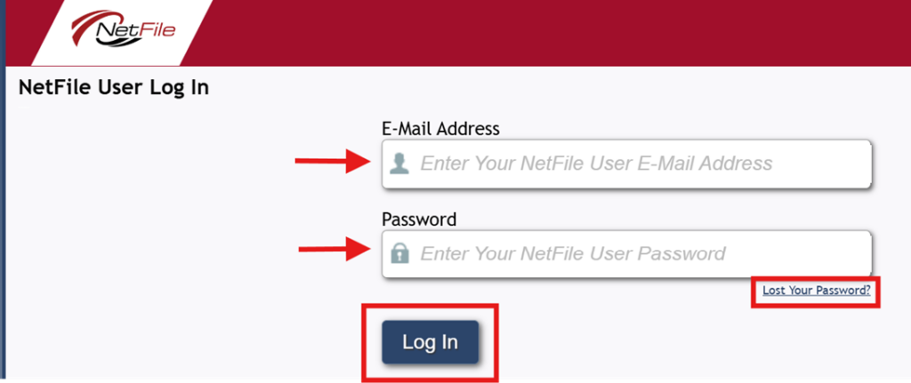 Screen shot of Netfile log in window